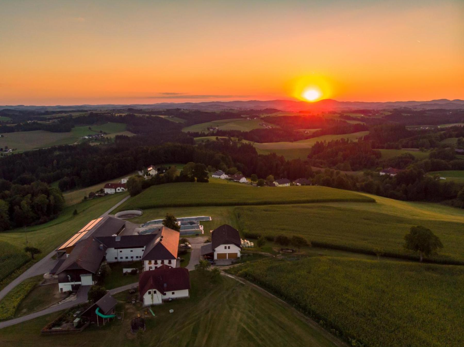 Grainmeisterhof Niederwaldkirchen Ngoại thất bức ảnh